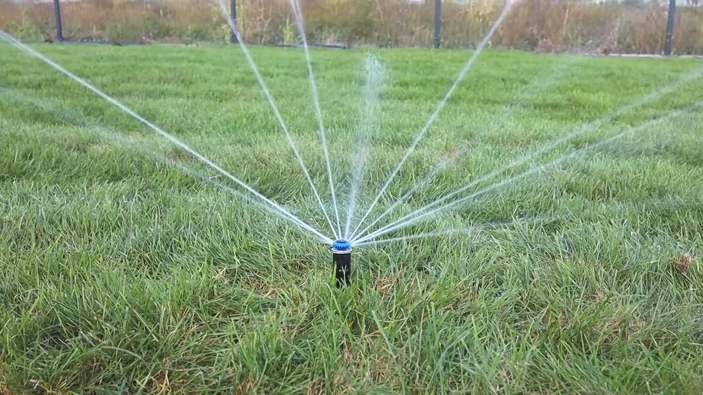 Zalivanje tek nikle trave